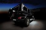Mercedes-Benz G-Class by Vilner 2011 года